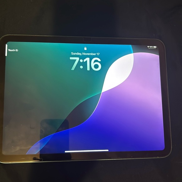Apple Blue 10th Generation IPad